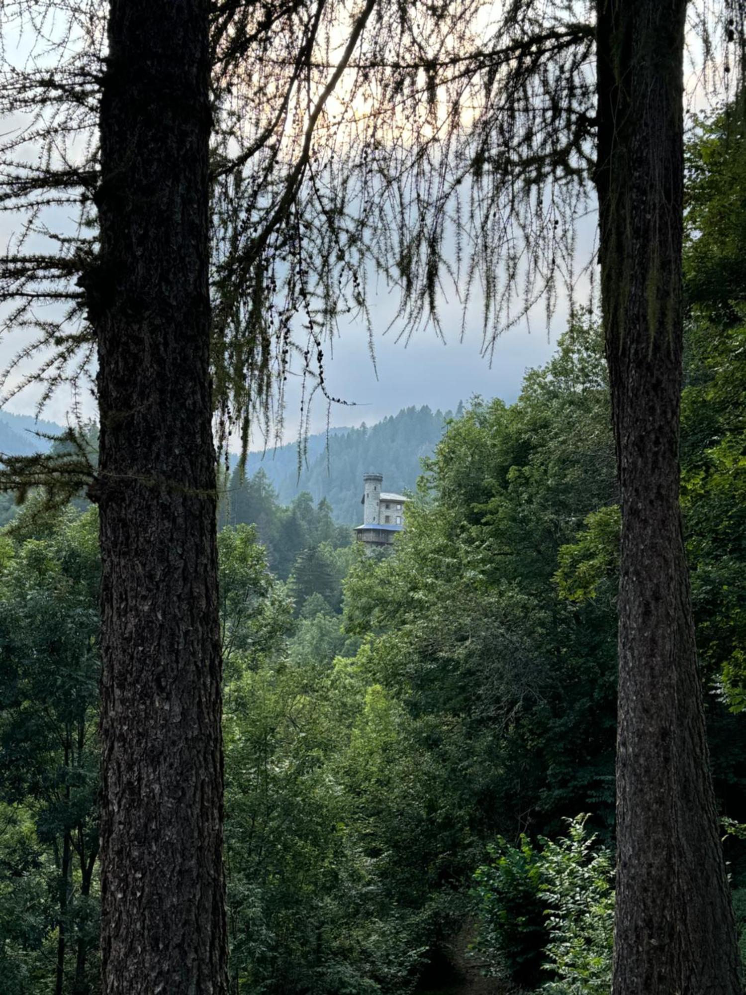 Il Castello Nel Bosco, Appartamento Torrente シャンポルシェ エクステリア 写真